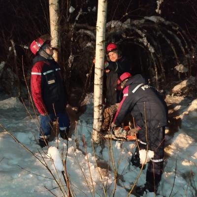 Специалисты «Рязаньэнерго» из-за сильного снегопада работают в режиме повышенной готовности